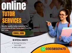 Expert Online Tutor /Personalized Learning for All Subjects & Levels