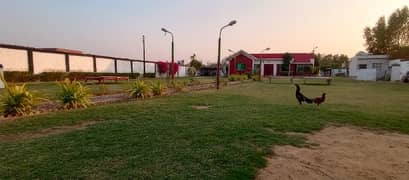 ideal farm house is available for rent in gadap town