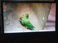 SAMSUNG IPS LED 24 INCH