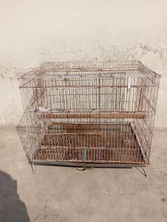 cage (pinjara)