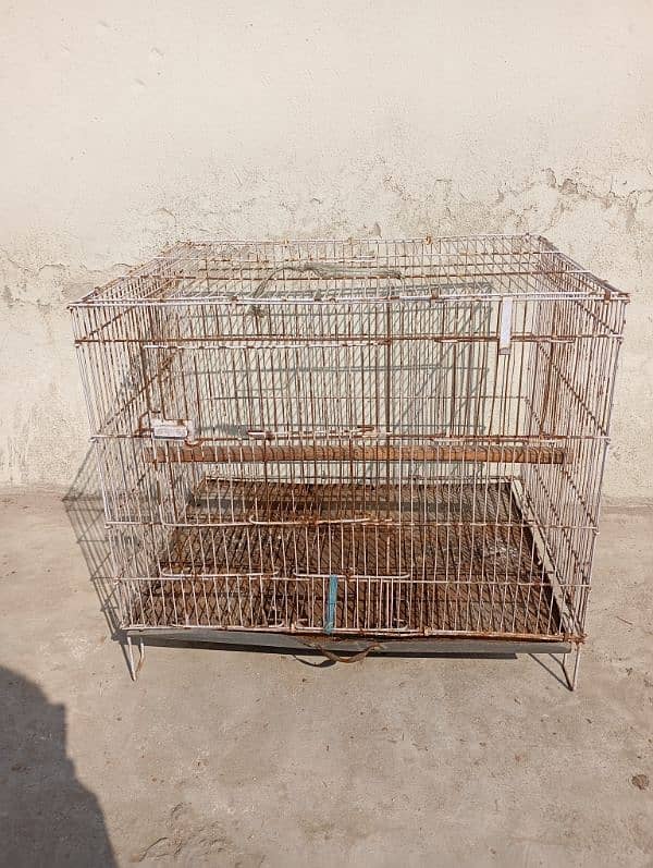 cage (pinjara) 0