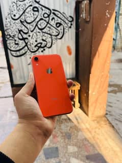 iphone XR Waterpack