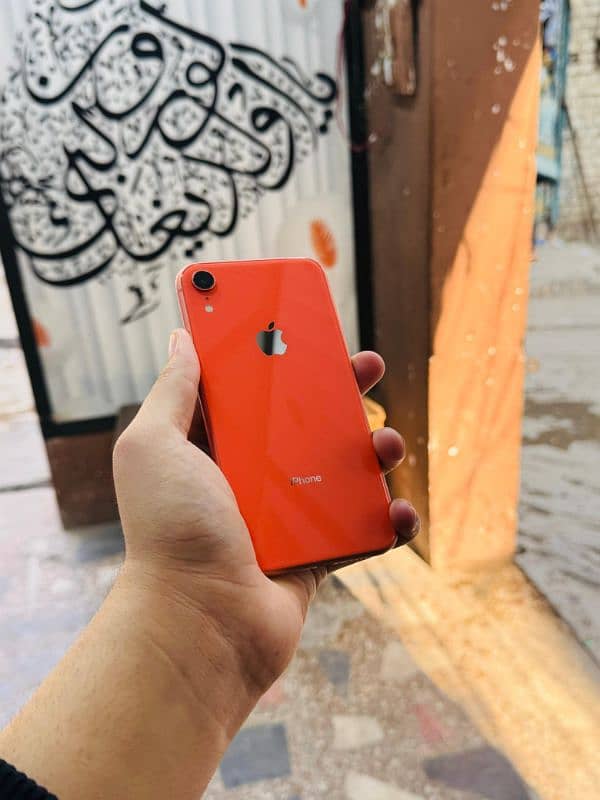 iphone XR Waterpack 5