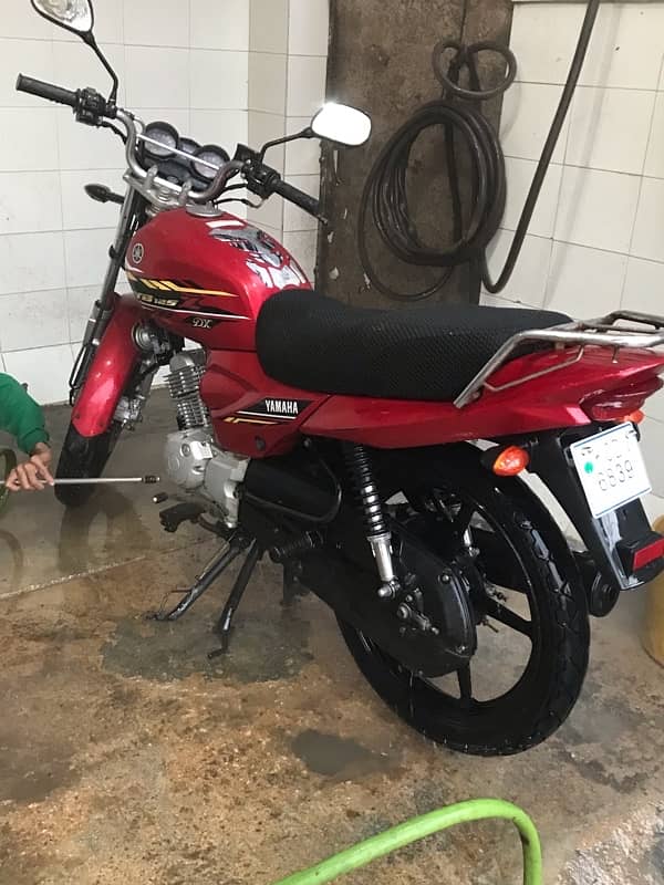 Yamaha yb125z dx 2021 model 2