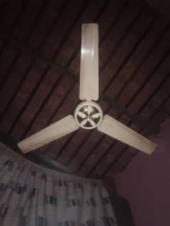 3 fan for sale good condition fan 0320. . 7461304۔   3 پنکھا