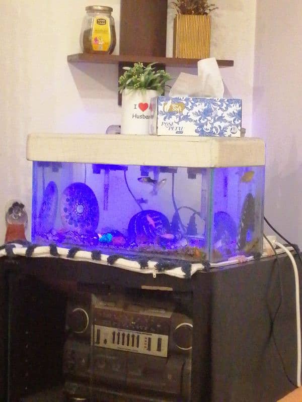 Mix Fish with Aquarium 1