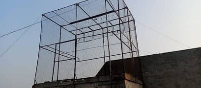 pigeon cage. o327o999933