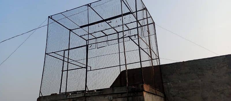 pigeon cage. o327o999933 0