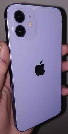 Apple iphone 12 PTA approved