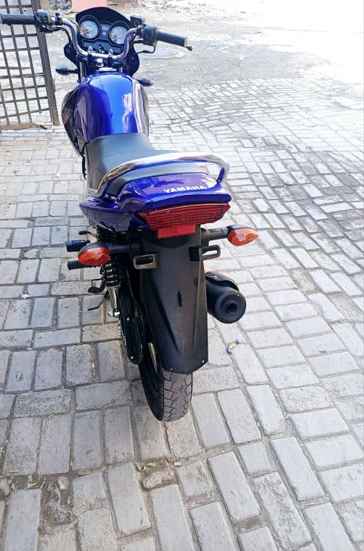 Yamaha ybr 125 (03143454494) 3