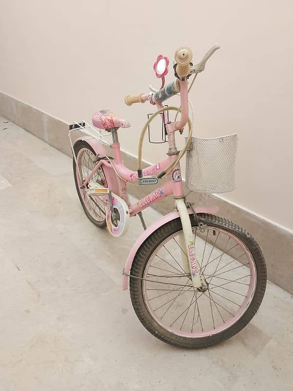 Pink Bicycle For Girls 0