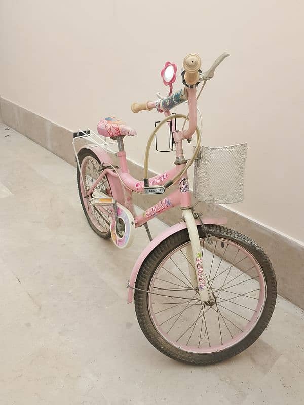 Pink Bicycle For Girls 1