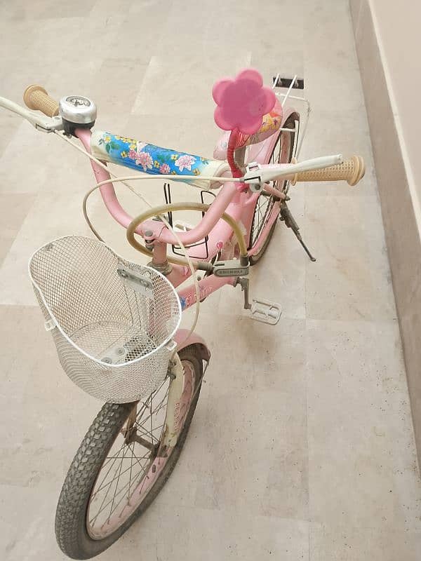 Pink Bicycle For Girls 2