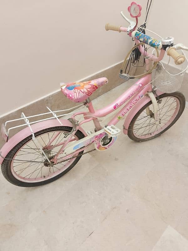 Pink Bicycle For Girls 3