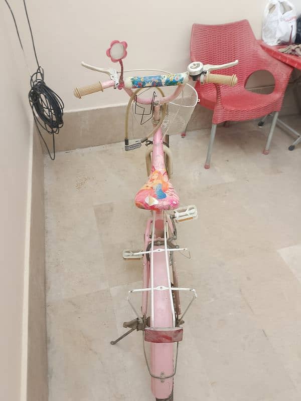 Pink Bicycle For Girls 4