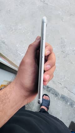 iphone 8 plus pta