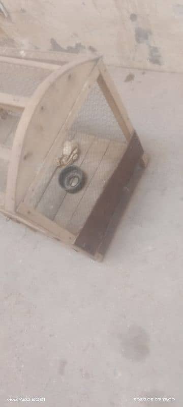 cage for sale 03220879934 0