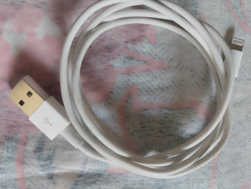 IPHONE Data Cable 1