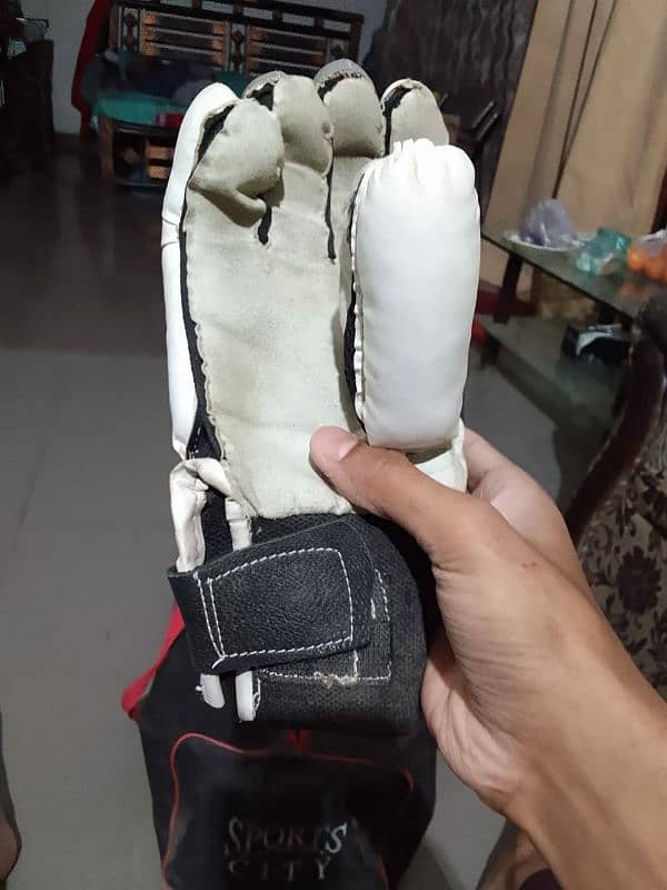 hard ball cricket kit 5