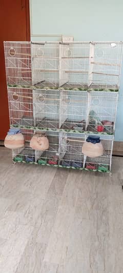 Large Foldable Bird Cage with Lutino Pairs, Eggs & Chicks