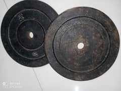 10 kg weight plates pair