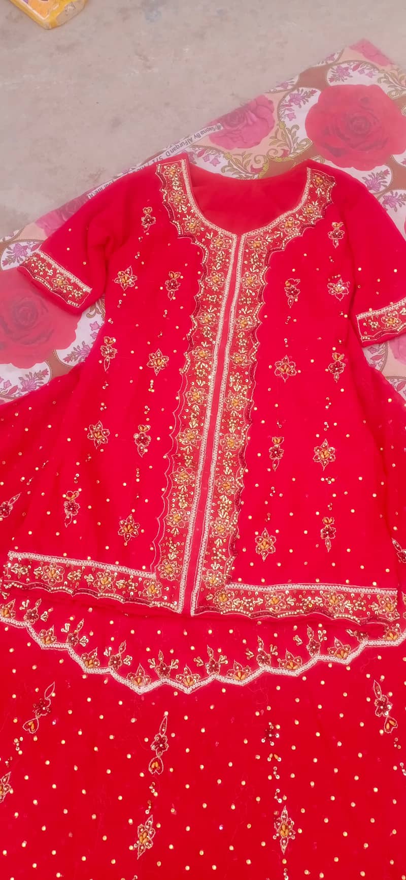 Bridal Dress / Formal Dress / Party Wear / Barat Dress /Maxi for Sale 0