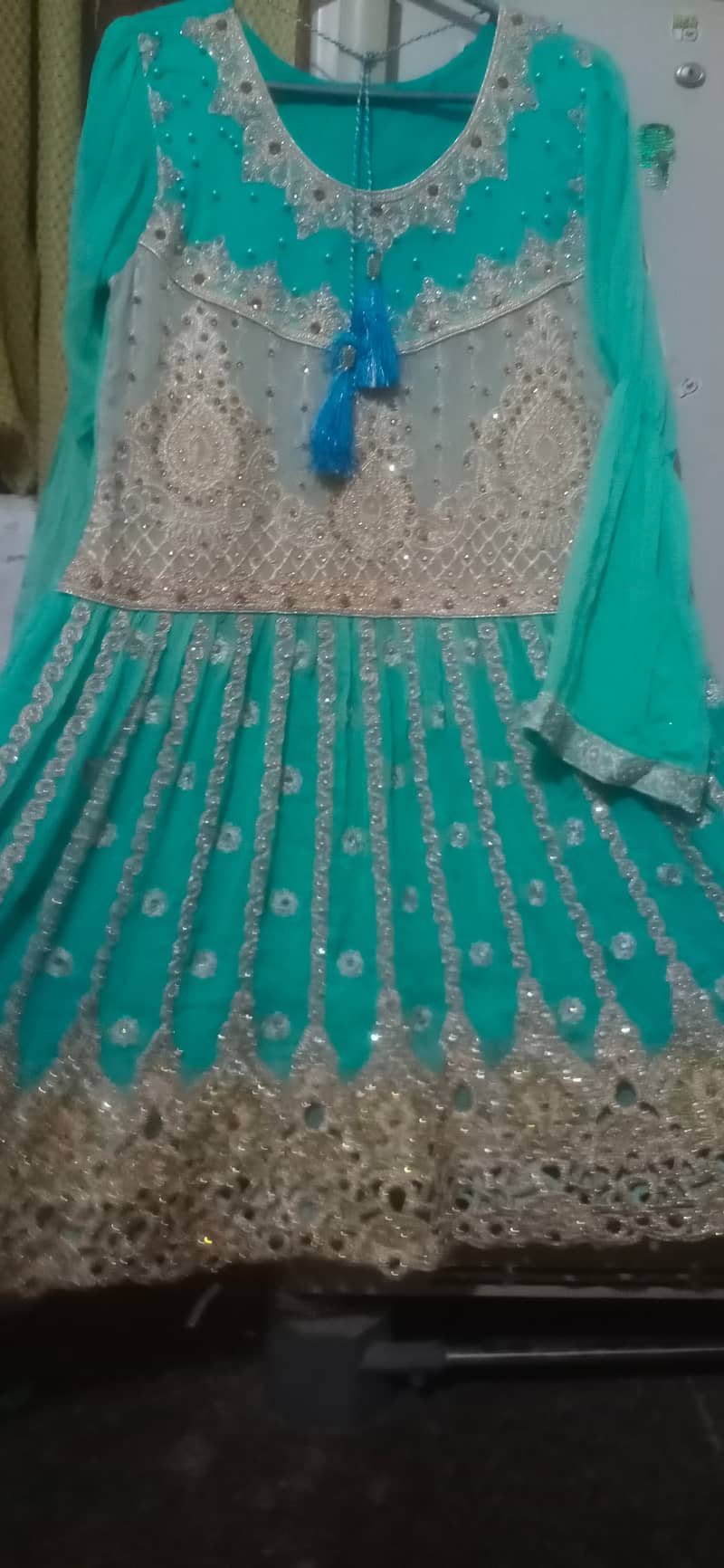 Bridal Dress / Formal Dress / Party Wear / Barat Dress /Maxi for Sale 19