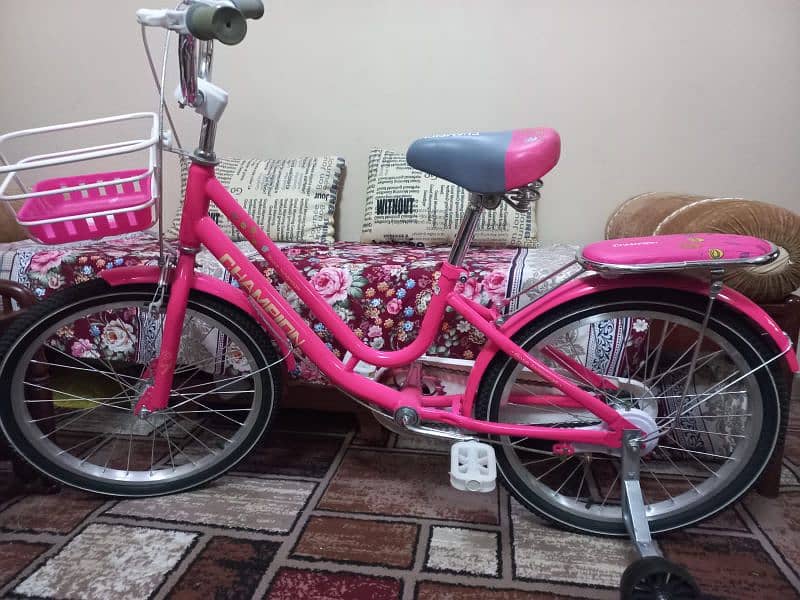 bicycle for Girls 1