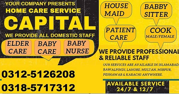 House Maid, Babysitter, Patient Care, Nurse Staff, Driver, Maids, Cook 0