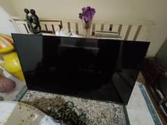 TCL 65" LED