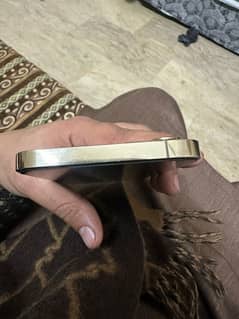 iphone gold 256 gb pta approve