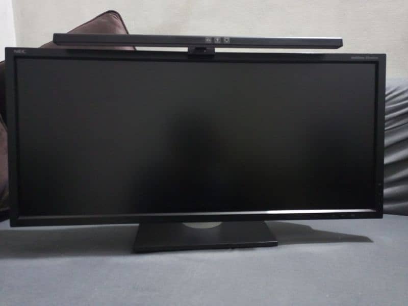 29 inch Ultra wide monitor (NEC EA294WMi) 1