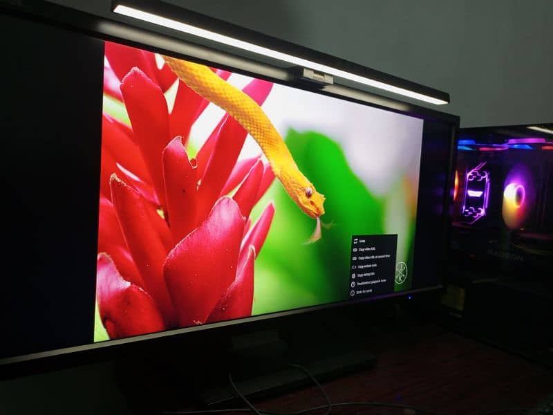 29 inch Ultra wide monitor (NEC EA294WMi) 8