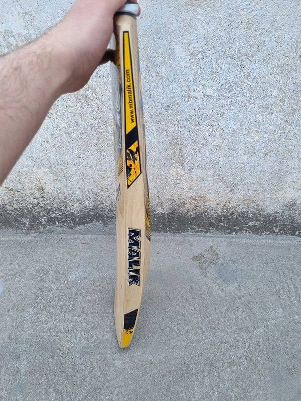 Malik Hardball bat 1