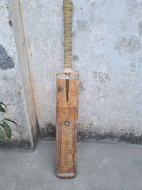 Ca 12000 cricket bat 1