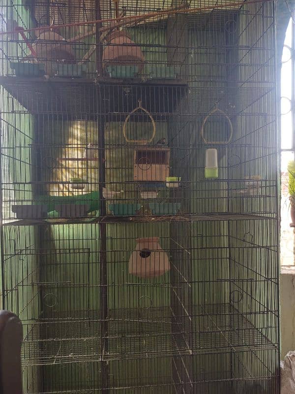 cage pinjra for birds 12 partition 1