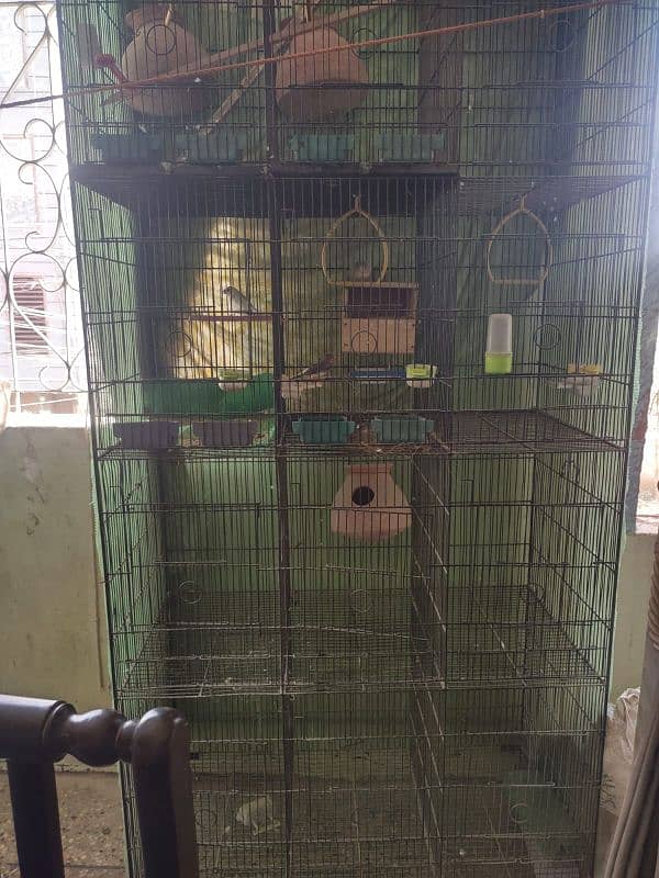 cage pinjra for birds 12 partition 3