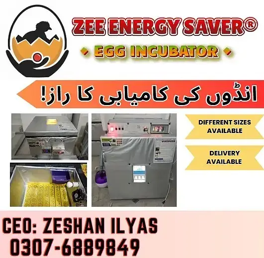 Energy saver incubator 10 watt | Egg hatching| egg machine| incubator — photo 3