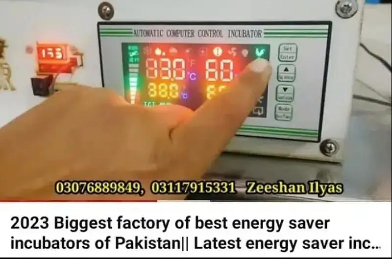 Energy saver incubator 10 watt | Egg hatching| egg machine| incubator — photo 4