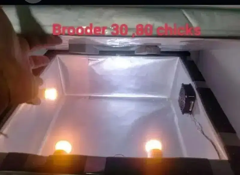 Energy saver incubator 10 watt | Egg hatching| egg machine| incubator — photo 7