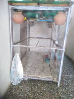 Cage for sale Mansehra