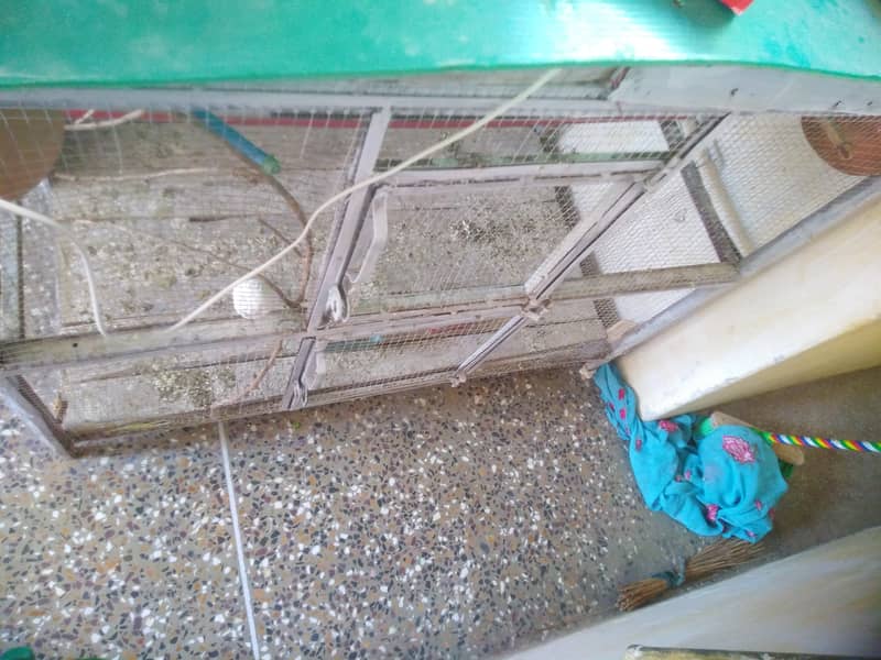 Cage for sale Mansehra 2