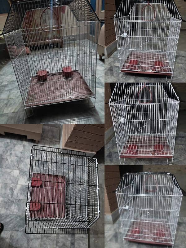 cage for bird urgent sale 1