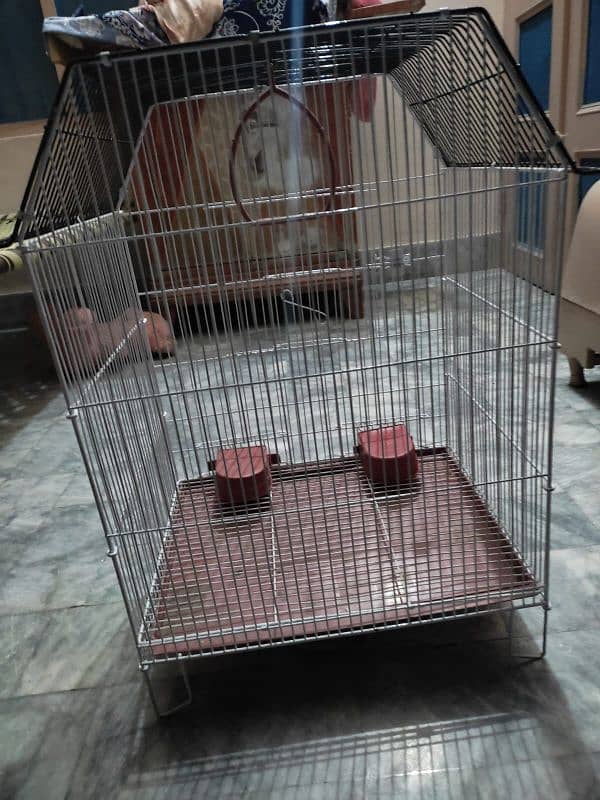 cage for bird urgent sale 2