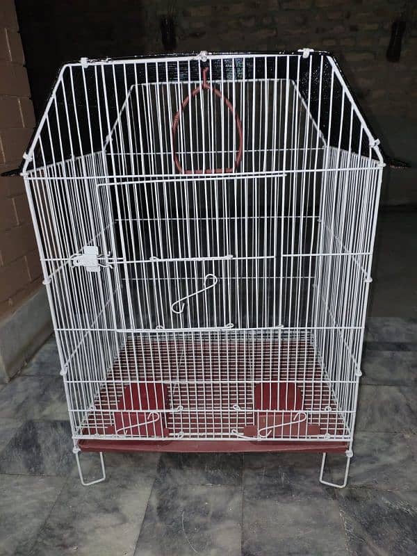 cage for bird urgent sale 3