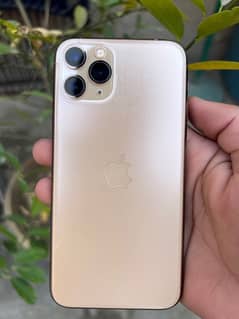 iphone 11pro gold colour