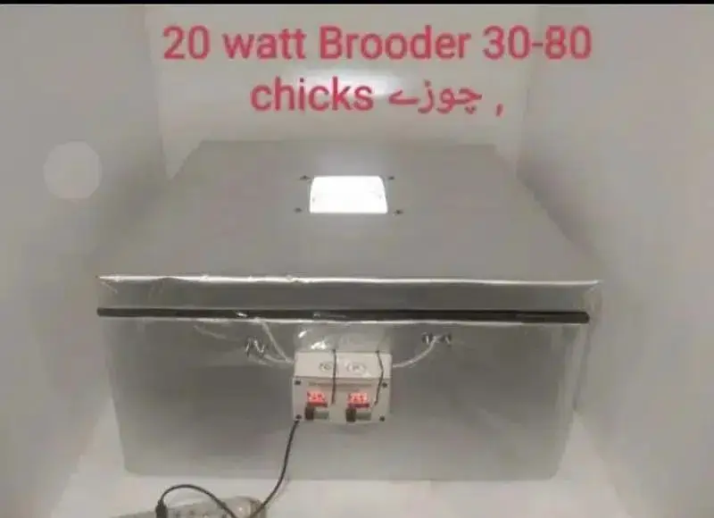 Energy saver incubator 10 watt | Egg hatching| egg machine| incubator — photo 4