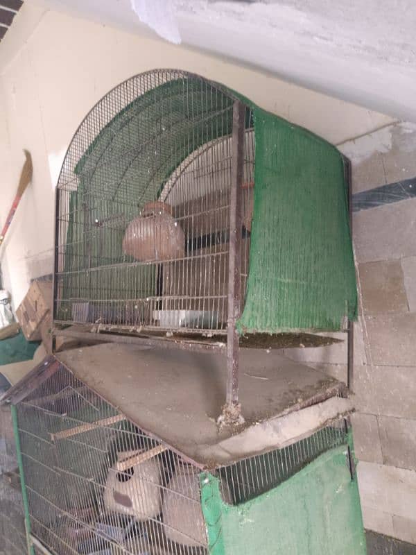 cage use fear condition 0