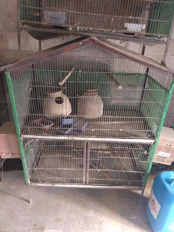 cage use fear condition 2