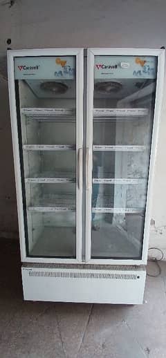 chiller double door 1000liter